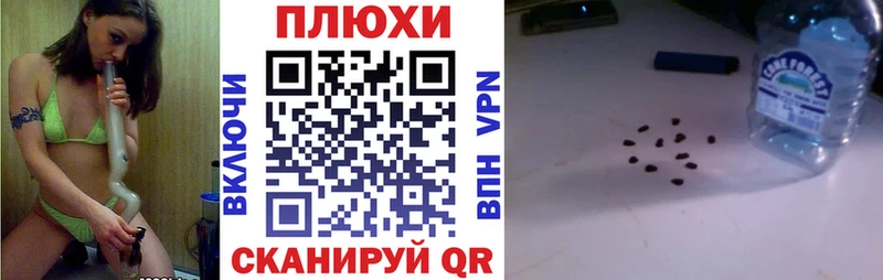 ГАШ гашик Свирск